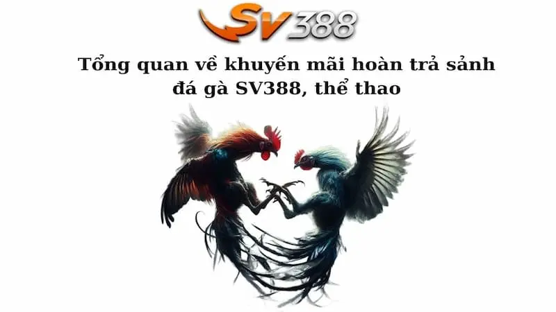 Những lưu ý quan trọng khi tham gia khuyến mãi hoàn trả tại Sv388