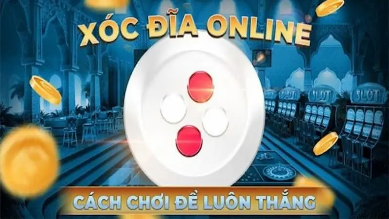 Các bí kíp hàng đầu từ những cao thủ chơi xóc đĩa